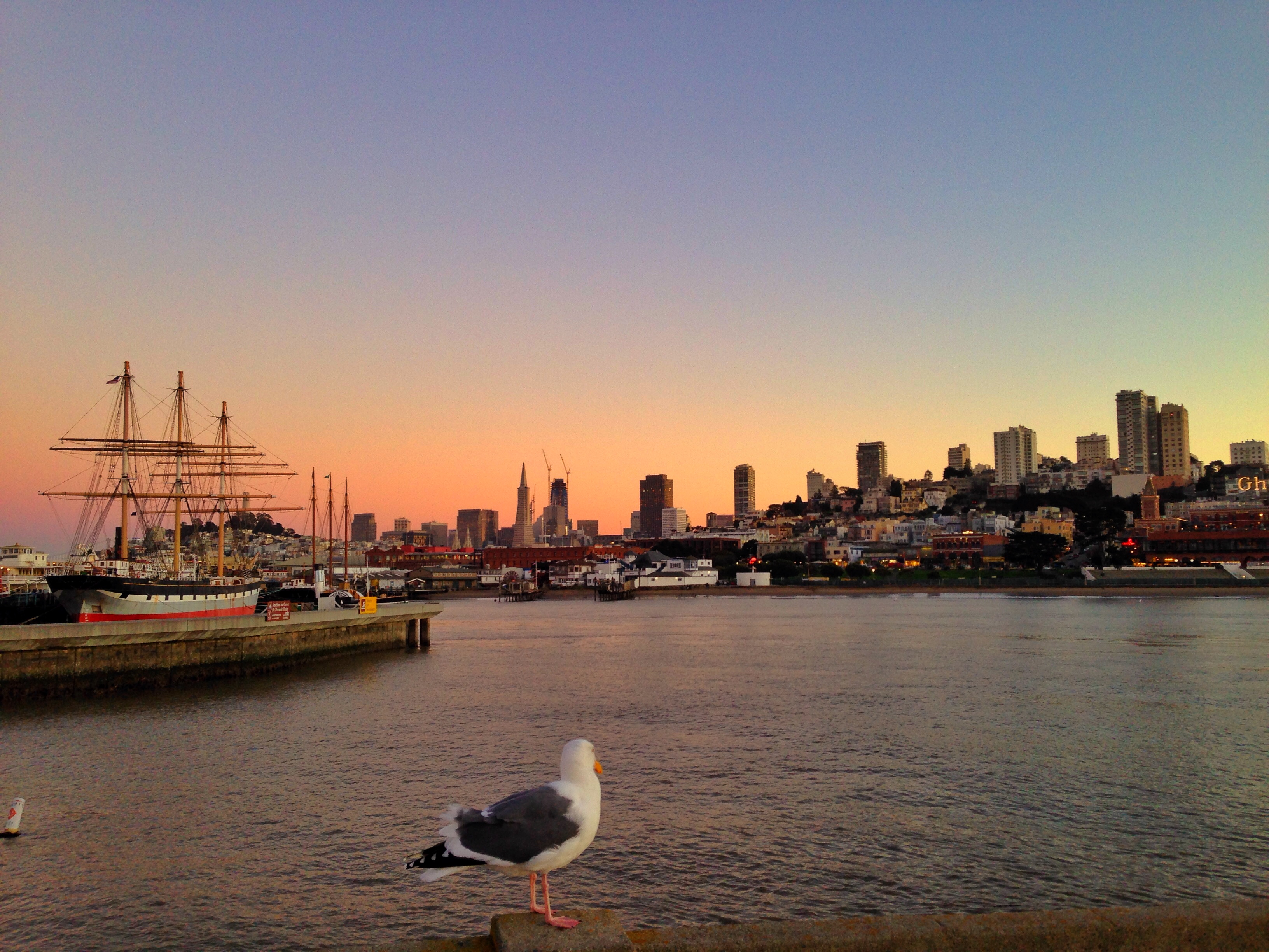 "Pier and Seagul"