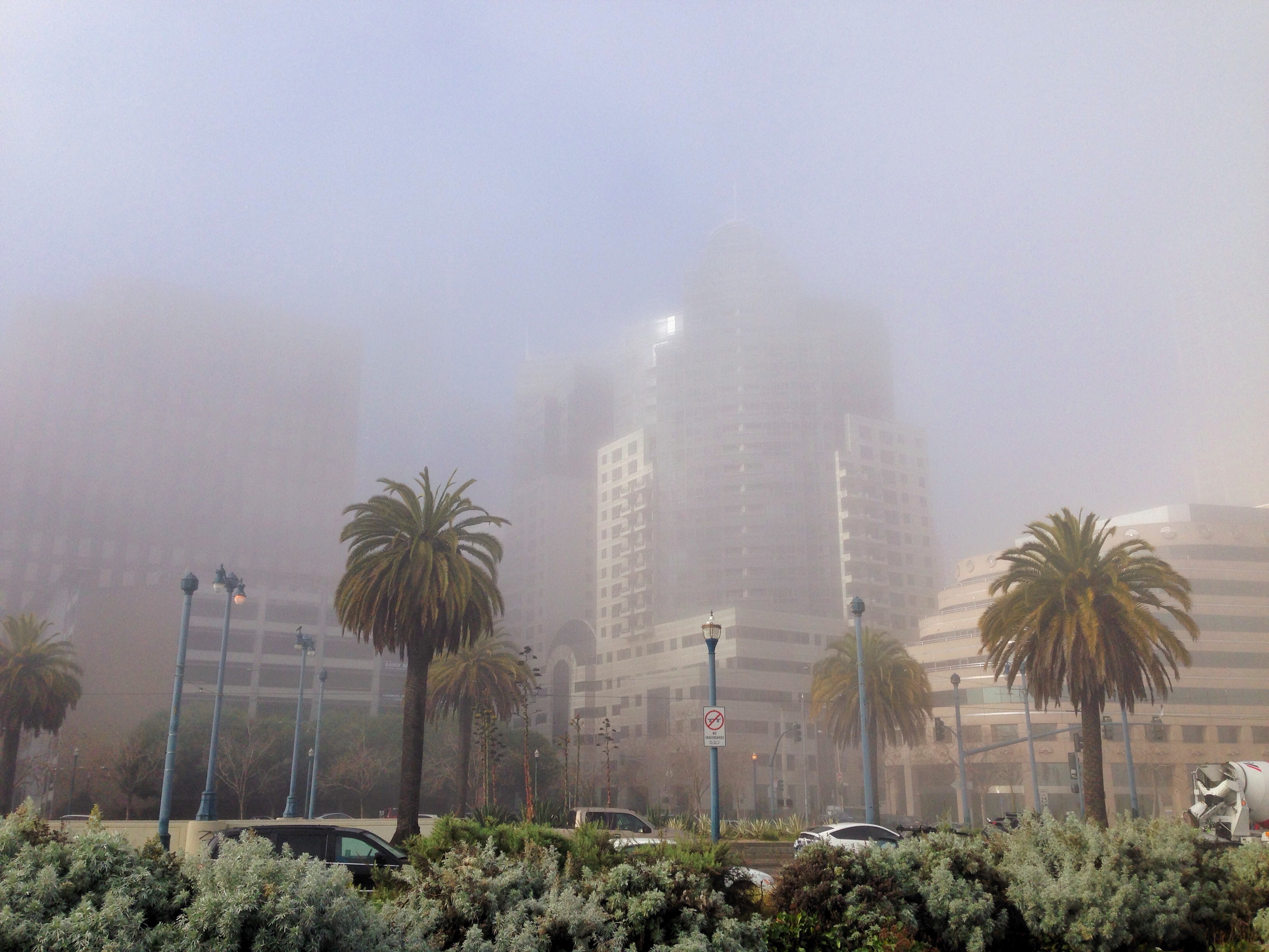 "Foggy Embarcadero"