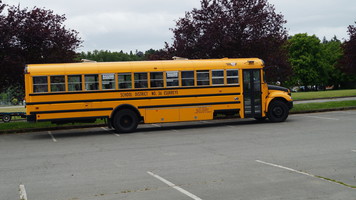 Жёлтый школьный автобус