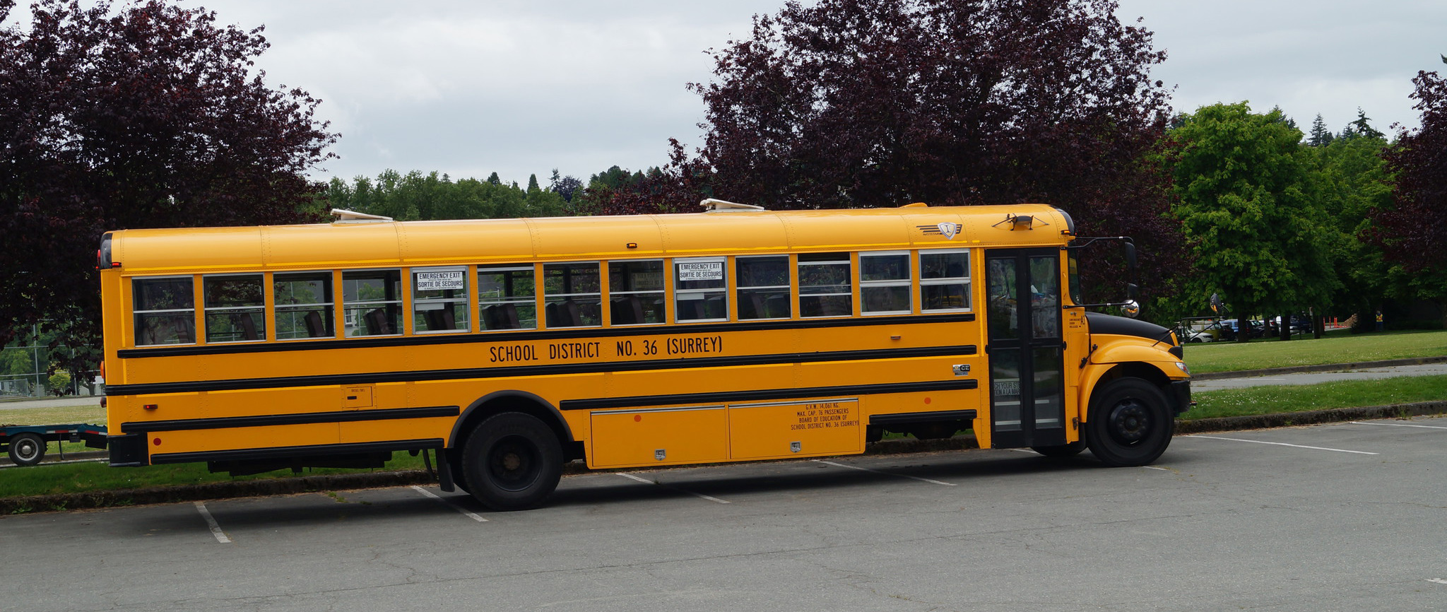 Жёлтый школьный автобус