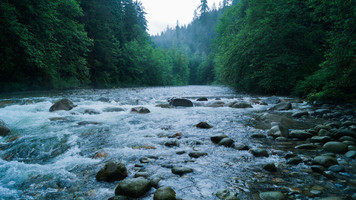 Парк Lynn Canyon