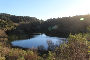 Прогулки на природе, заповедник Point Reyes