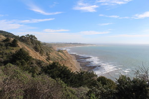 Заповедник Point Reyes